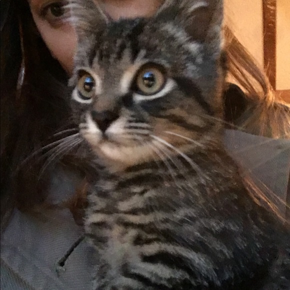 Meet your Posher, Susan - Picture 1 of 1